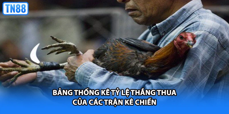Bảng thống kê tỷ lệ thắng thua của các trận kê chiến