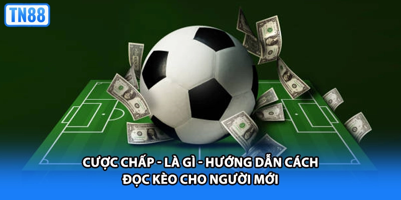 Cược Chấp - Là Gì - Hướng Dẫn Cách Đọc Kèo Cho Người Mới