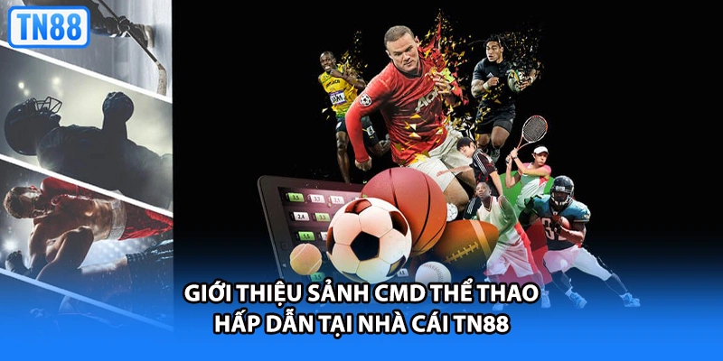 Giới thiệu sảnh CMD thể thao hấp dẫn tại nhà cái TN88