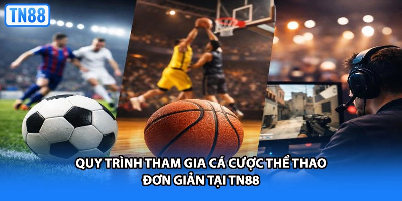 Quy trình tham gia cá cược thể thao đơn giản tại TN88