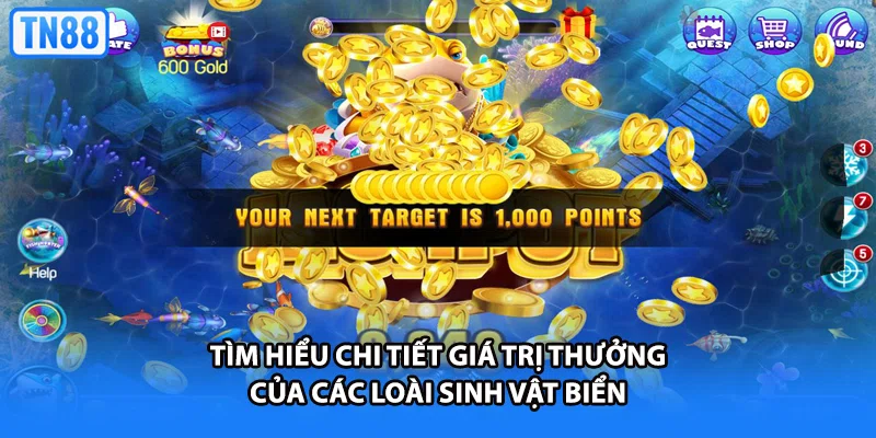 Tìm hiểu chi tiết giá trị thưởng của các loài sinh vật biển